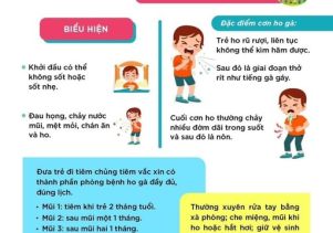 BỆNH HO GÀ: XIN ĐỪNG HOANG MANG