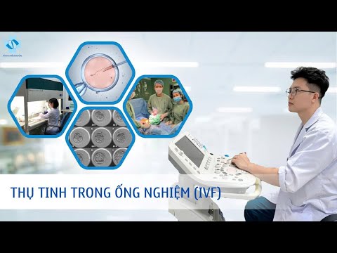 Quy trình IVF